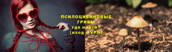 твердый Кулебаки