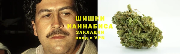 ECSTASY Краснослободск