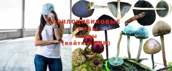 эйфоретик Краснотурьинск