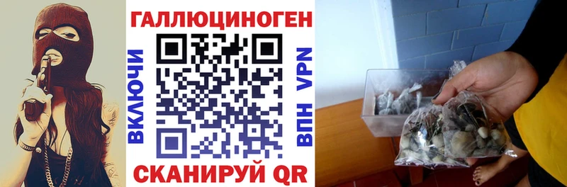 Галлюциногенные грибы ЛСД Курчалой